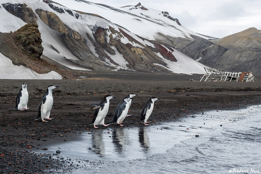 Deception Island, South Shetland Islands